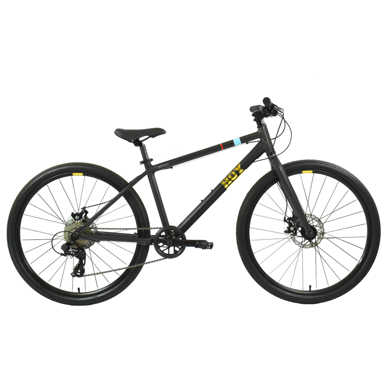 Hoy Pentland 26in Kids Bike in Stealth Black