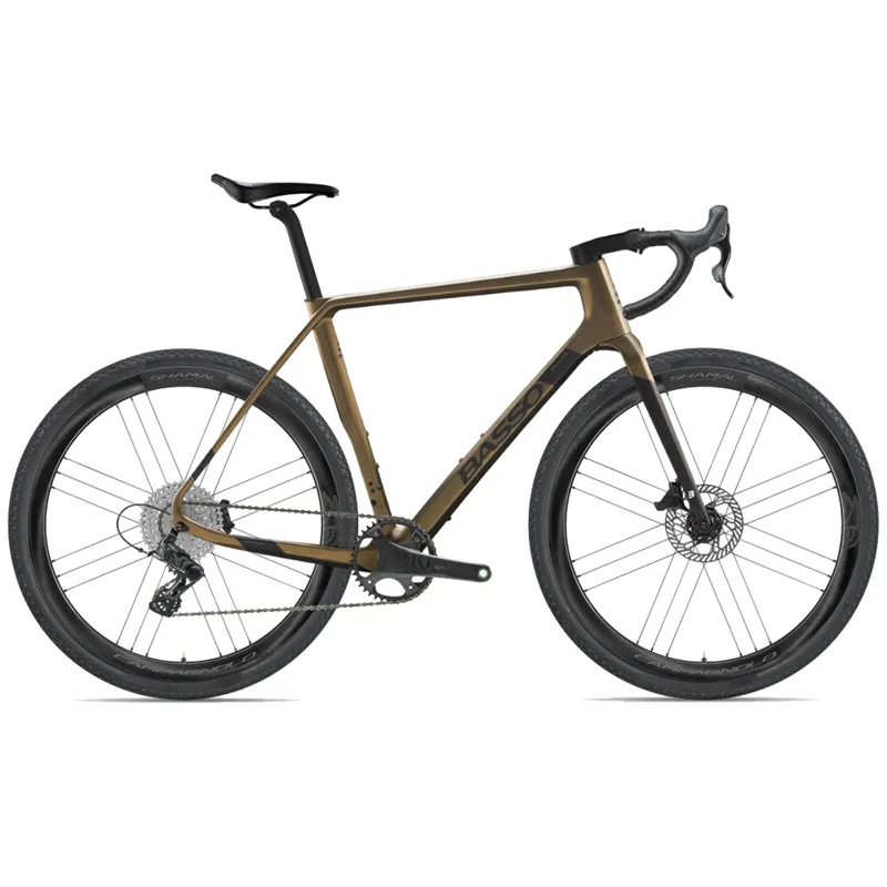 Basso Palta Disc Ekar 13x Shamal Burn Bike Gold